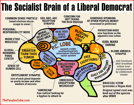the-socialist-brain-of-a-liberal-democrat.gif