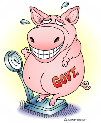 govt-pig.jpg