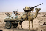 Camel-Gun-33441[1].jpg