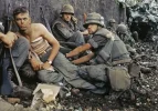 VietnamVets[1].webp