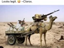 1773356868568.webp