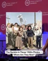 1780494349823.webp 1780494349823.webp