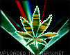 weed-light-effects-smiley-emoticon[1].gif