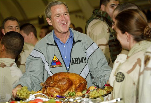 bush_turkey.jpg