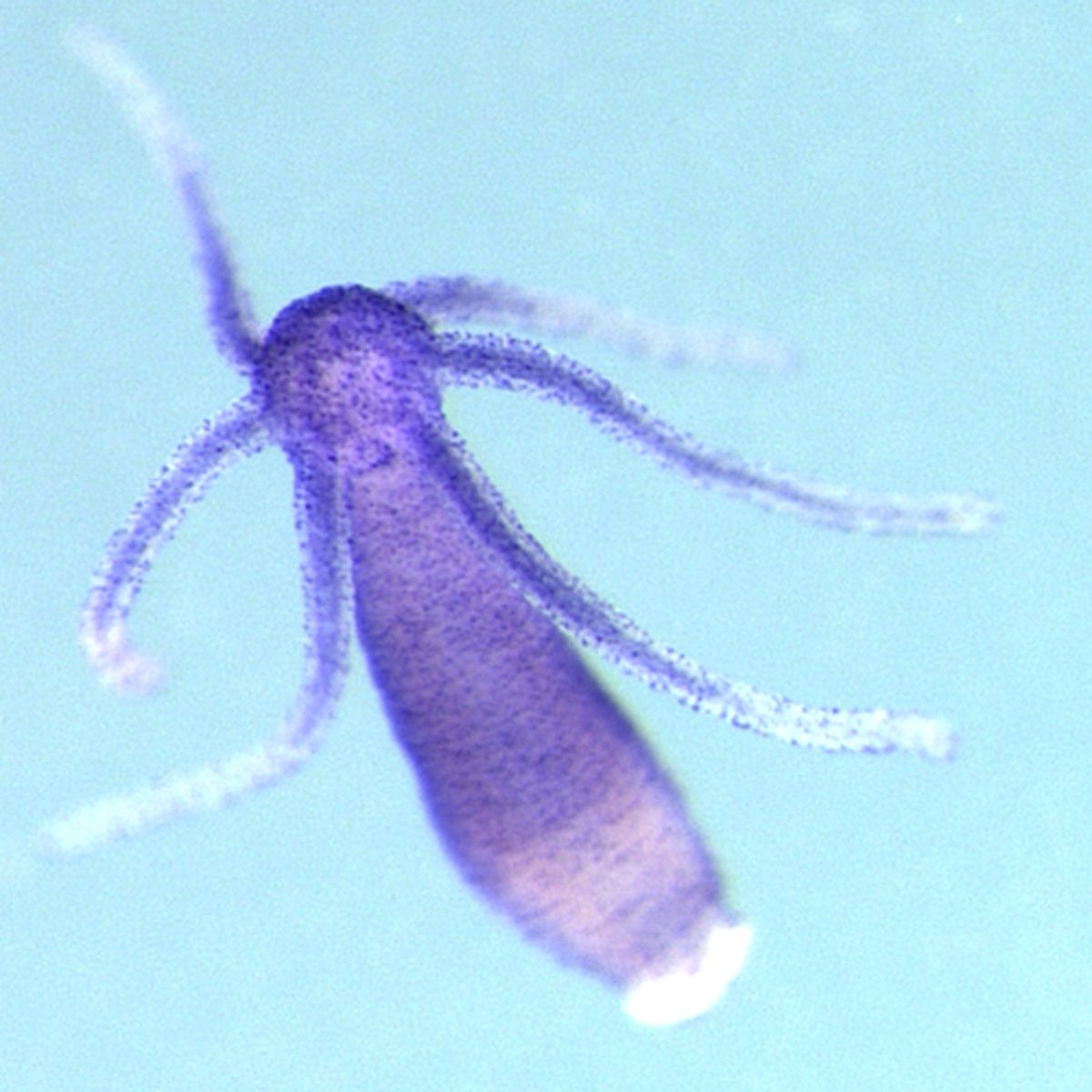 www.livescience.com