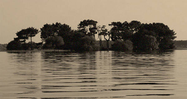 allthatsinteresting.com