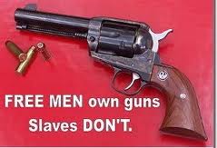free-men-own-guns-slaves-dont.jpg