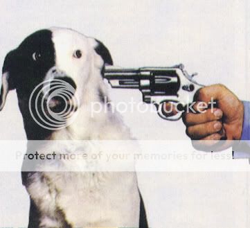 Stop-Shoot_the_Dog.jpg