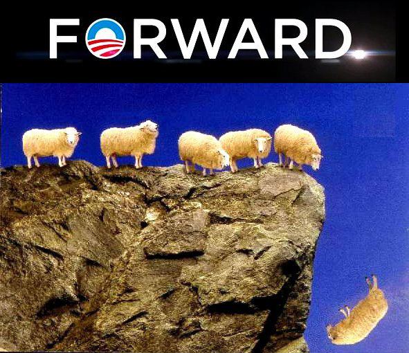 forward-sheep1.jpg