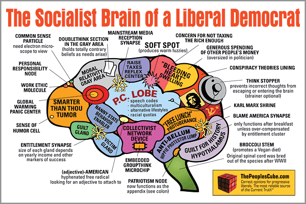Brain_Socialist_Democrat.png