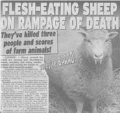 killer_sheep.jpg