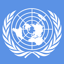UN%20Global%20authority.png